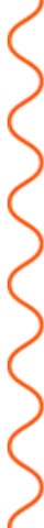 عن الشركة